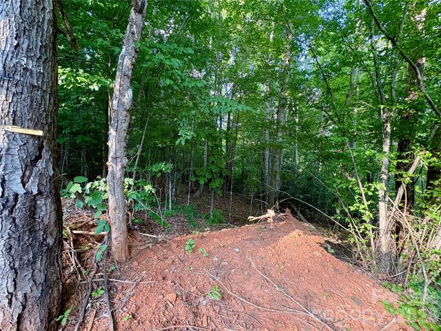 289 Champange Ridge, Lake Lure, NC 28746