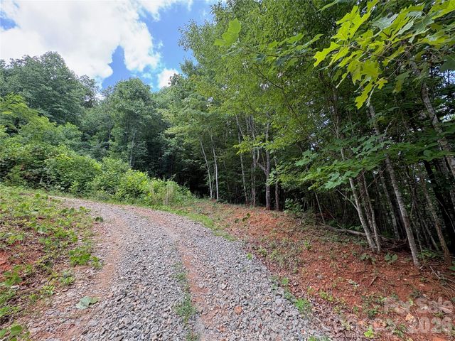 289 Champange Ridge, Lake Lure, NC 28746