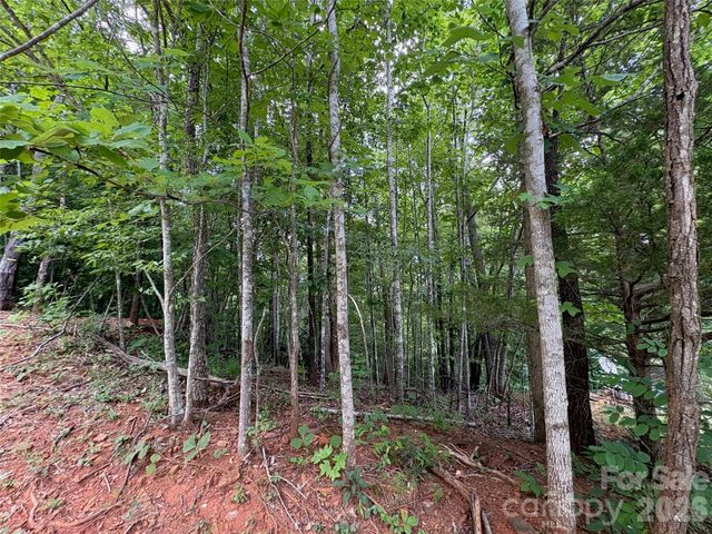 289 Champange Ridge, Lake Lure, NC 28746