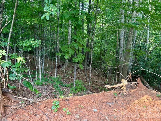 289 Champange Ridge, Lake Lure, NC 28746