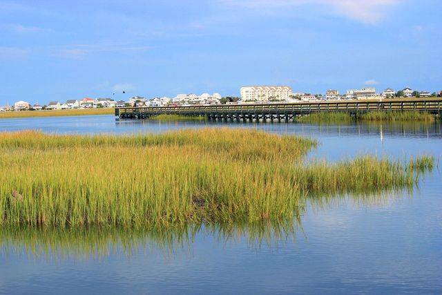 4437 Lady Banks Ln Unit E1, Murrells Inlet, SC 29576