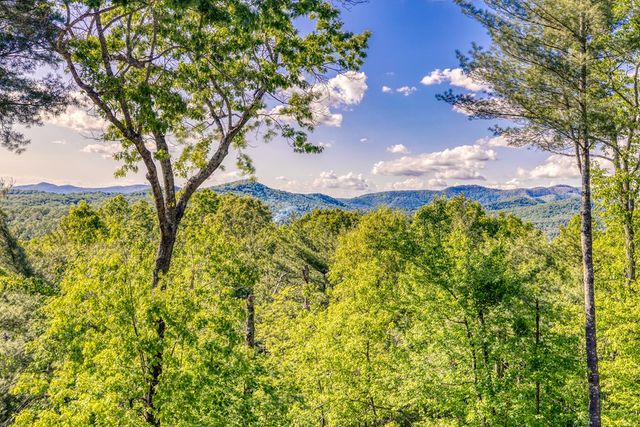 74 Hickory Hollow, Mineral Bluff, GA 30559