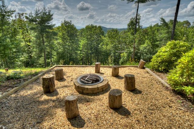 74 Hickory Hollow, Mineral Bluff, GA 30559