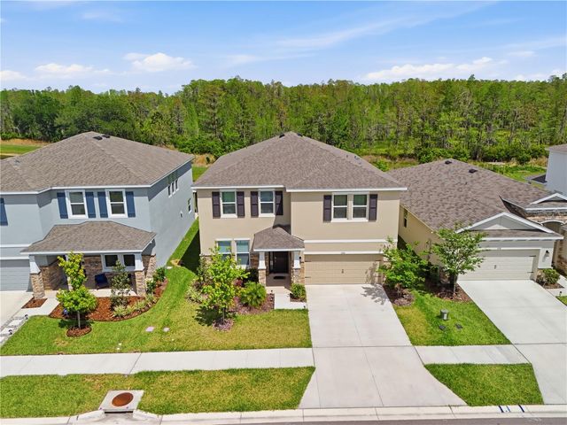 6764 BROAD RIVER AVENUE, Land O Lakes, FL 34638