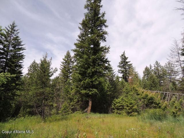 NKA Antler LN, Spirit Lake, ID 83869