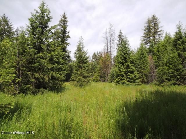 NKA Antler LN, Spirit Lake, ID 83869