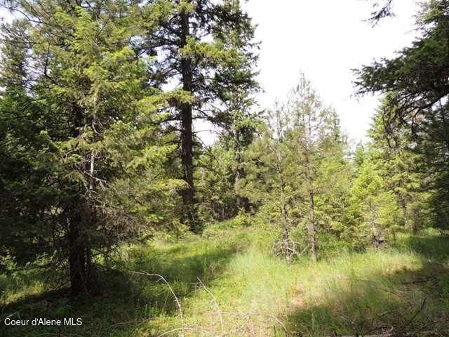 NKA Antler LN, Spirit Lake, ID 83869