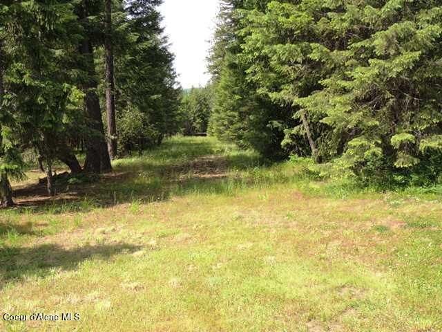 NKA Antler LN, Spirit Lake, ID 83869