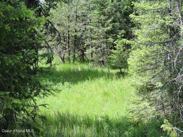 NKA Antler LN, Spirit Lake, ID 83869