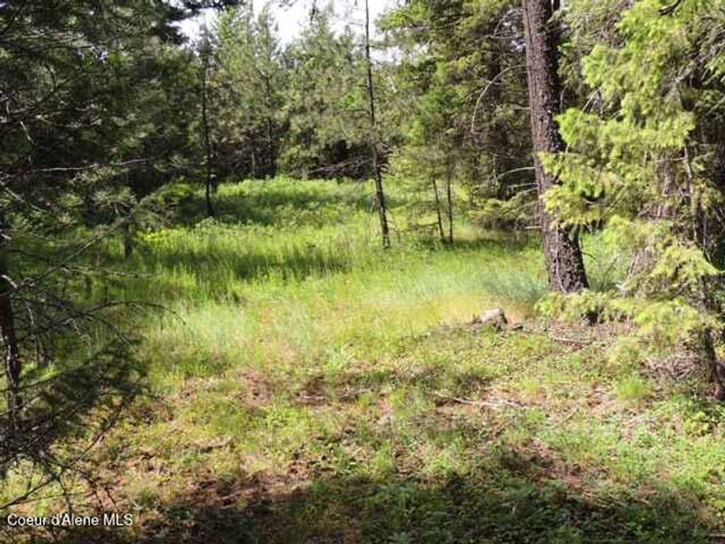 NKA Antler LN, Spirit Lake, ID 83869