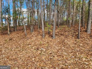 91 Cannon Ridge View, Dallas, GA 30132