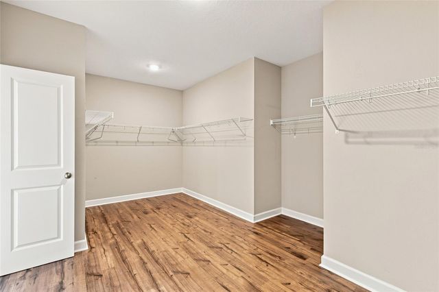 7697 ROMA DUNE DRIVE, Wesley Chapel, FL 33545