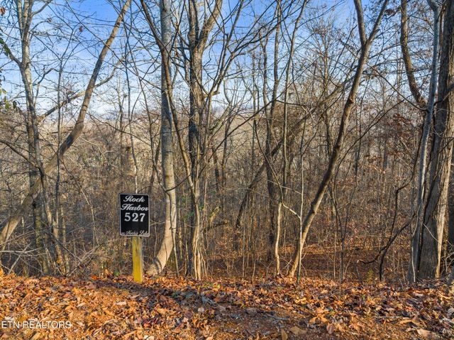 527 & 528 Garnet Tr, New Tazewell, TN 37825