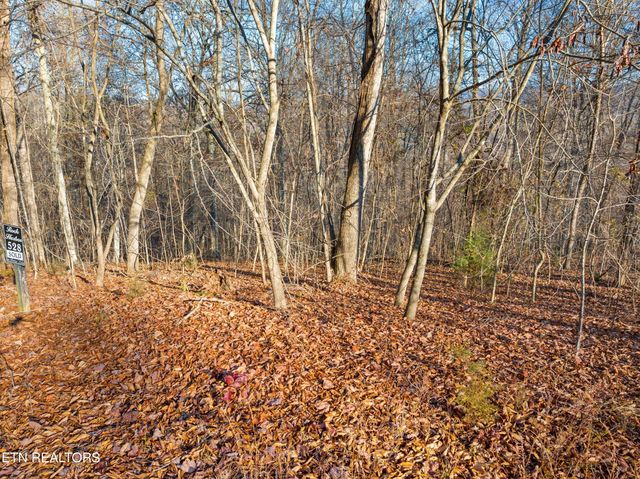 527 & 528 Garnet Tr, New Tazewell, TN 37825