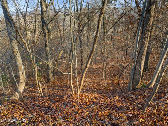 527 & 528 Garnet Tr, New Tazewell, TN 37825