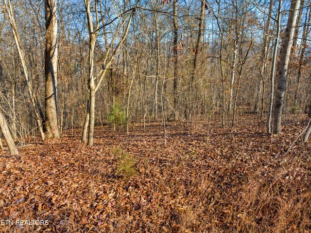 527 & 528 Garnet Tr, New Tazewell, TN 37825