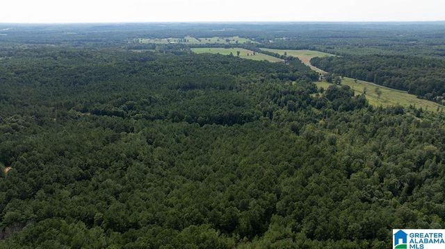 0 WILKERSON ROAD, Fayette, AL 35555