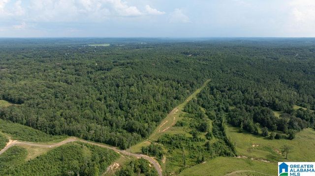 0 WILKERSON ROAD, Fayette, AL 35555