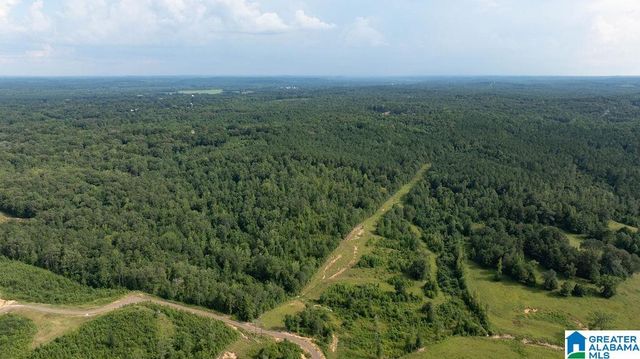 0 WILKERSON ROAD, Fayette, AL 35555