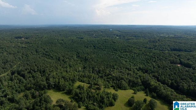 0 WILKERSON ROAD, Fayette, AL 35555