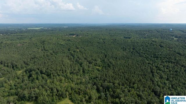 0 WILKERSON ROAD, Fayette, AL 35555