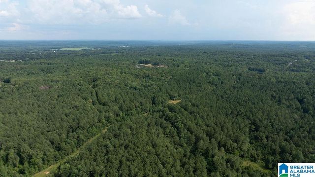 0 WILKERSON ROAD, Fayette, AL 35555