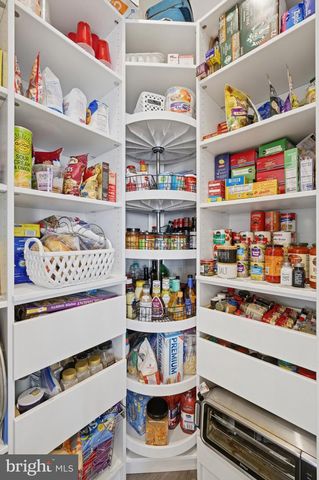 169 HARRIER WAY, Chester, MD 21619