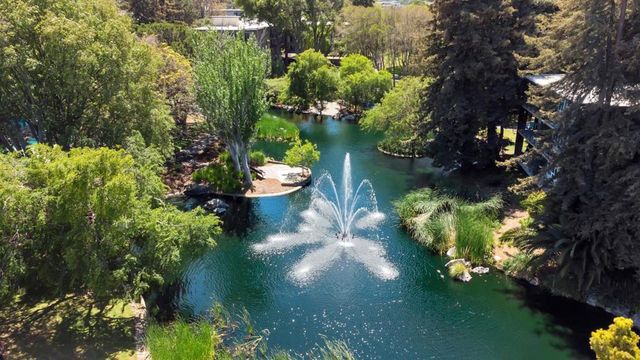 833 N Humboldt Street 208, San Mateo, CA 94401
