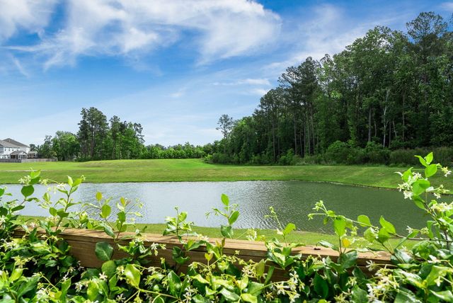 674 Black Pine Road, Moncks Corner, SC 29461