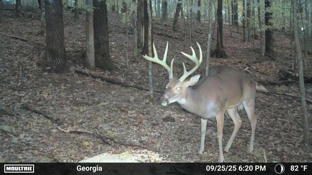 225 Kelso Smithland Rd, Kelso, TN 37348