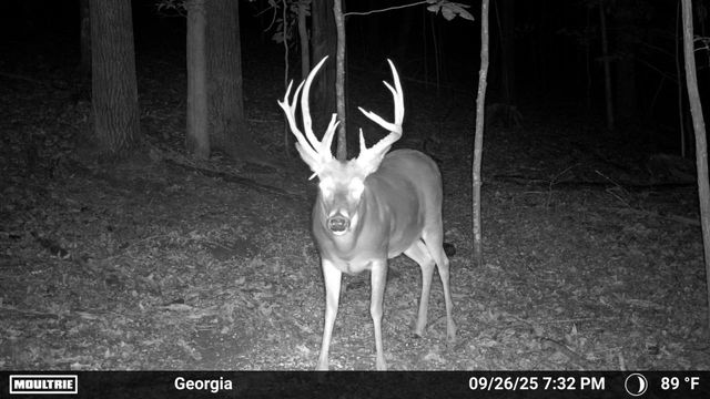 225 Kelso Smithland Rd, Kelso, TN 37348