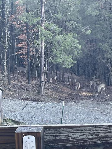 225 Kelso Smithland Rd, Kelso, TN 37348