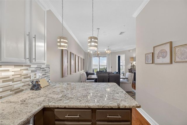 6408 MAYRA SHORES LANE, Apollo Beach, FL 33572