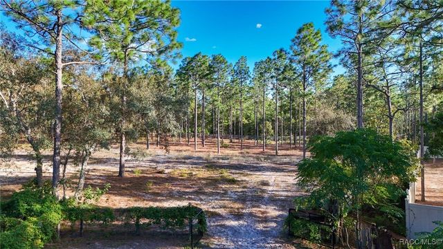 4295 N Bridger Drive, Beverly Hills, FL 34465