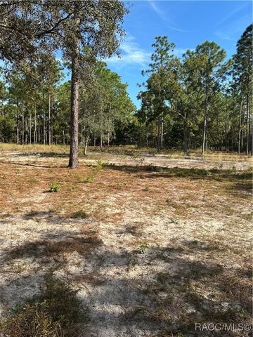 4295 N Bridger Drive, Beverly Hills, FL 34465