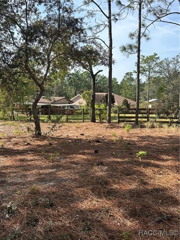 4295 N Bridger Drive, Beverly Hills, FL 34465