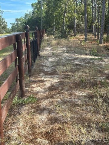 4295 N Bridger Drive, Beverly Hills, FL 34465