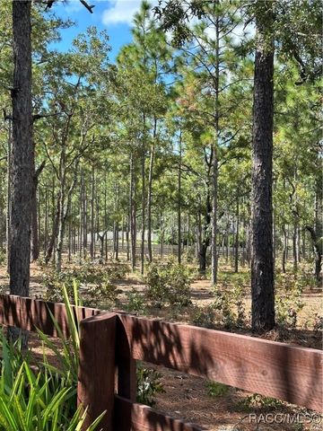 4295 N Bridger Drive, Beverly Hills, FL 34465