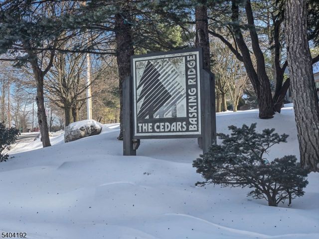 85 Sycamore Ct Ondo, Bernards Twp., NJ 07920