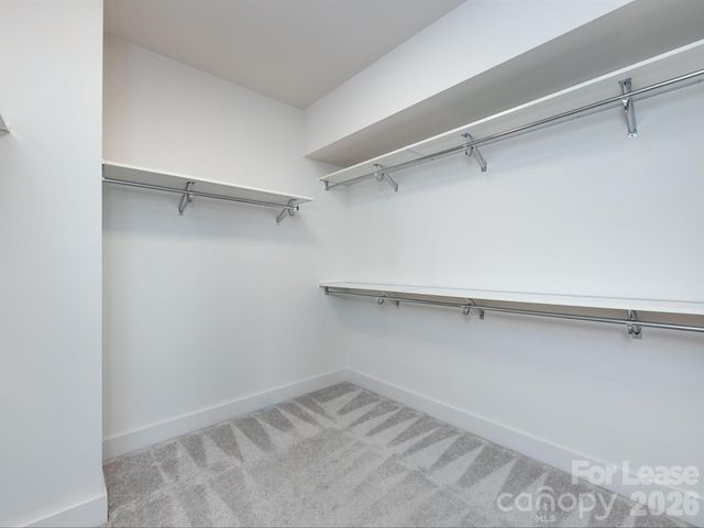 1207 E 36th Street 3, Charlotte, NC 28205