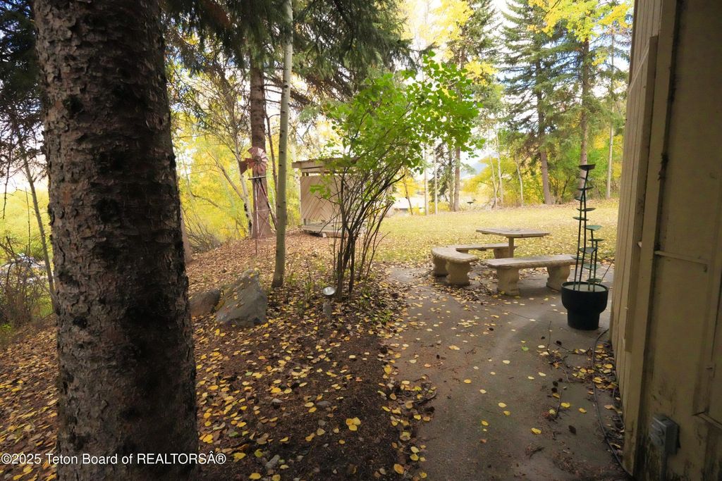 515 PINE Drive, Jackson, WY 83001 photo 10