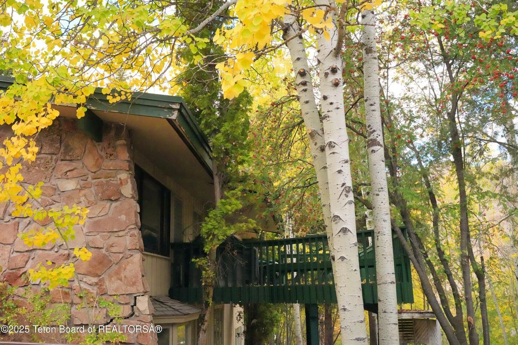 515 PINE Drive, Jackson, WY 83001 photo 11