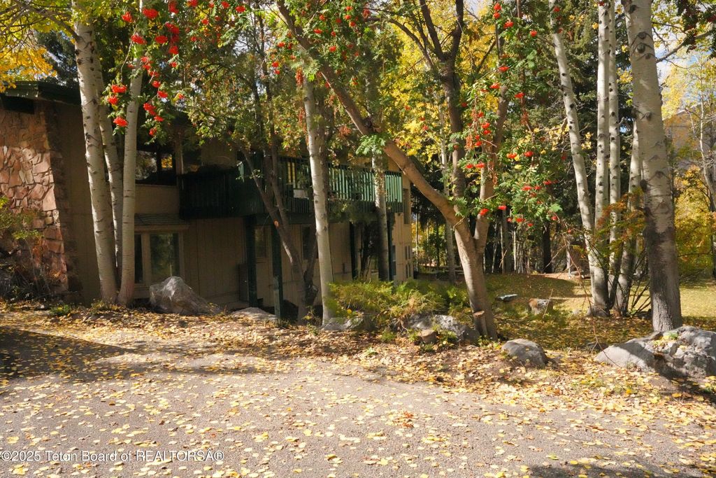 515 PINE Drive, Jackson, WY 83001 photo 12