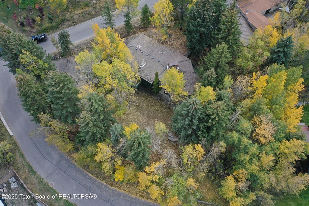 515 PINE Drive, Jackson, WY 83001 photo 17