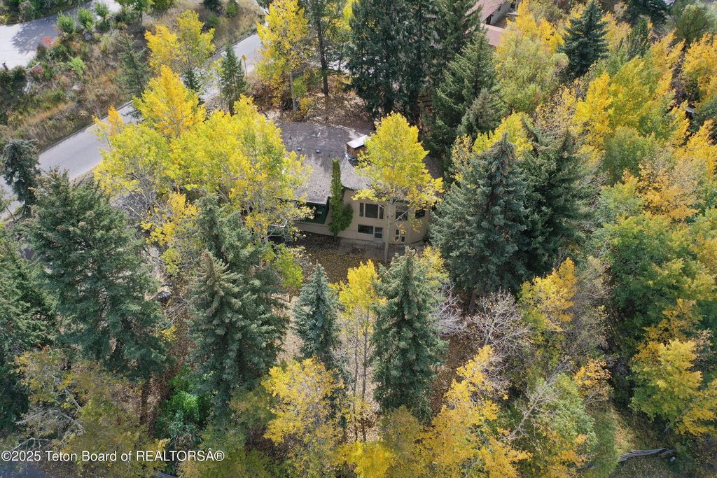 515 PINE Drive, Jackson, WY 83001 photo 18