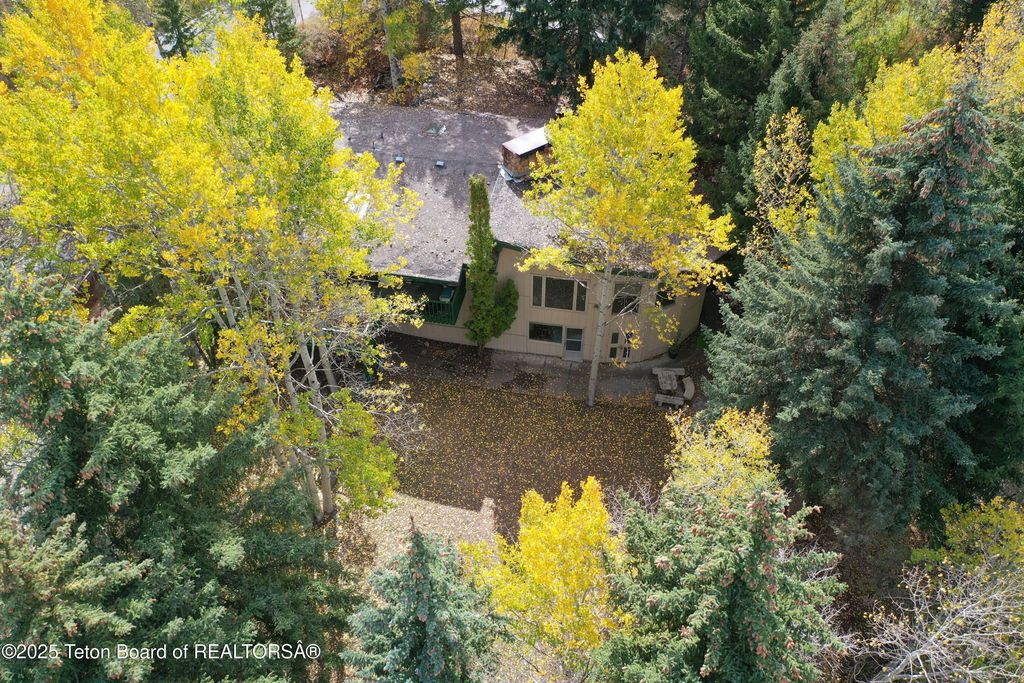 515 PINE Drive, Jackson, WY 83001 photo 19