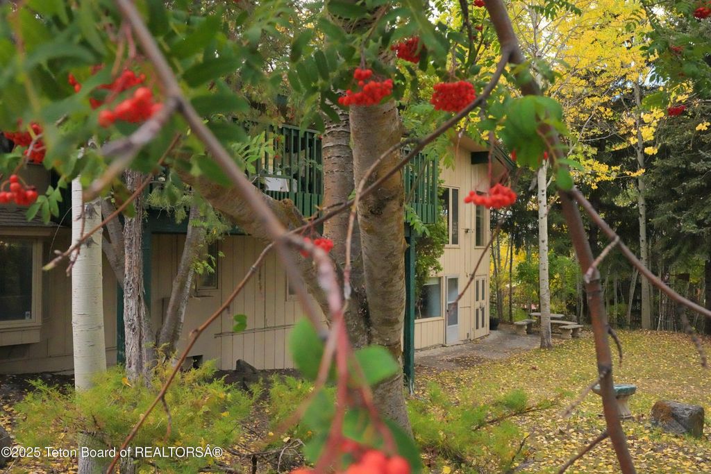 515 PINE Drive, Jackson, WY 83001 photo 3