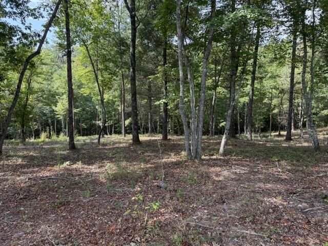 Lot 39 Tall Pine Trail, Mineral Bluff, GA 30559