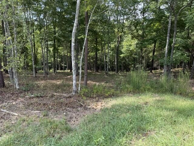 Lot 39 Tall Pine Trail, Mineral Bluff, GA 30559