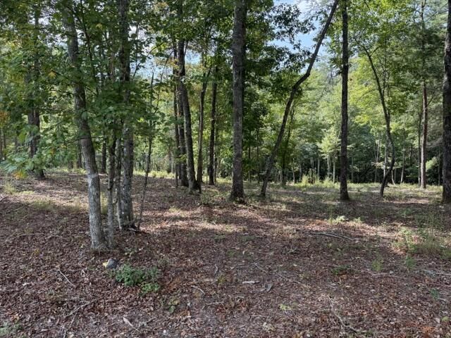 Lot 39 Tall Pine Trail, Mineral Bluff, GA 30559